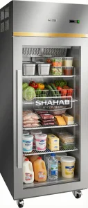 یخچال صنعتی ایستاده تک درب
